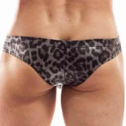 Tanga Wojoer Brauner Leo SP9T352 â Image 2