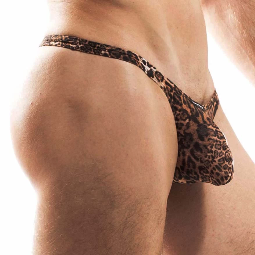 Tanga Wojoer Brauner Leo SP3B14 â Image 2